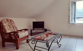 Au bord du Foron