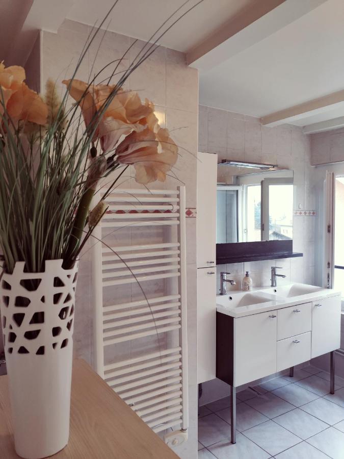 Appartement Au bord du Foron à Scionzier Extérieur photo